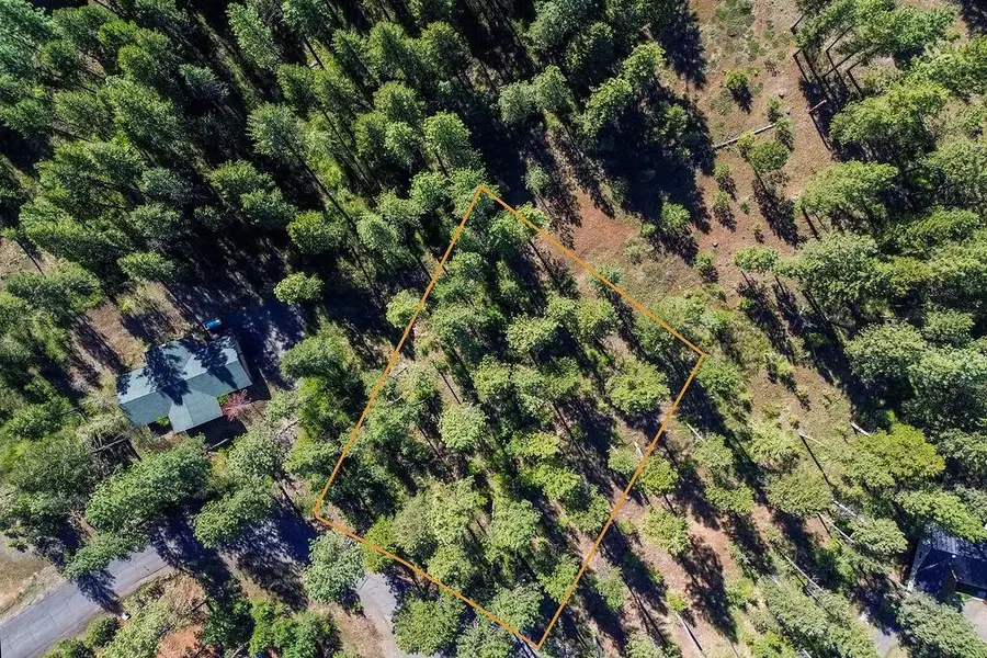 TBD Sorrel Drive, New Meadows, ID 83654 - #3