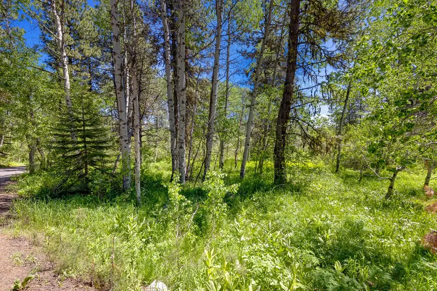 1125 Meadows Road, McCall, ID 83638 - #3