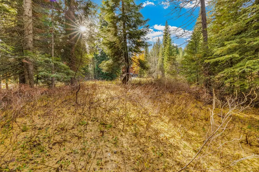 150 Pinnacle Court, Donnelly, ID 83615 - #3