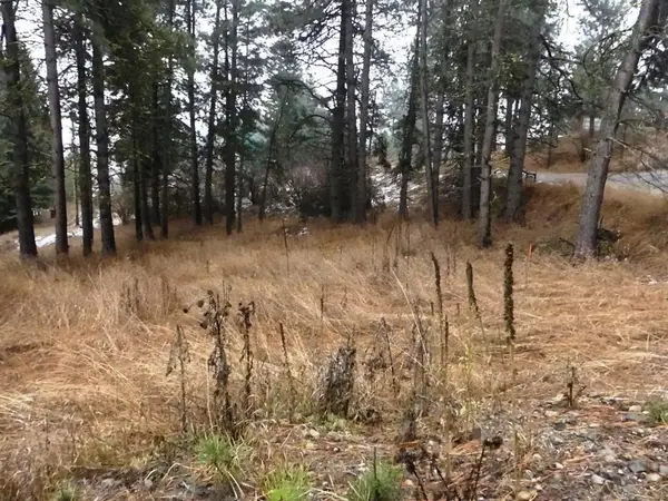 614 Crawford Avenue, Cascade, ID 83638