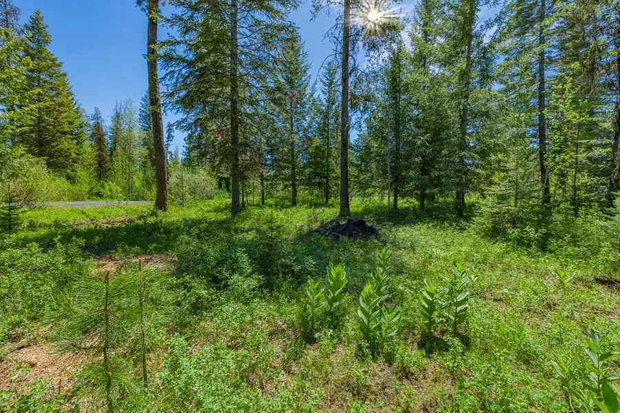 7 Windsong Place, Donnelly, ID 83615 - #3