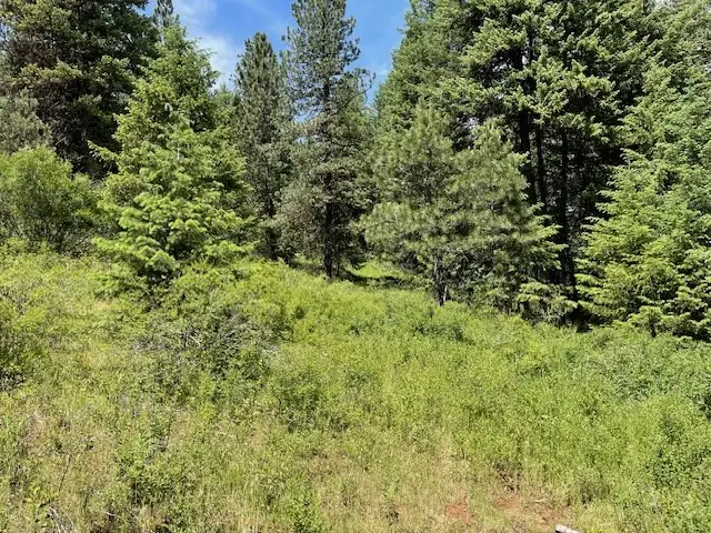 Lot 20 Little Salmon Road, New Meadows, ID 83654 - #2