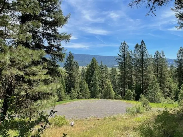 Lot 20 Little Salmon Road, New Meadows, ID 83654 - #3