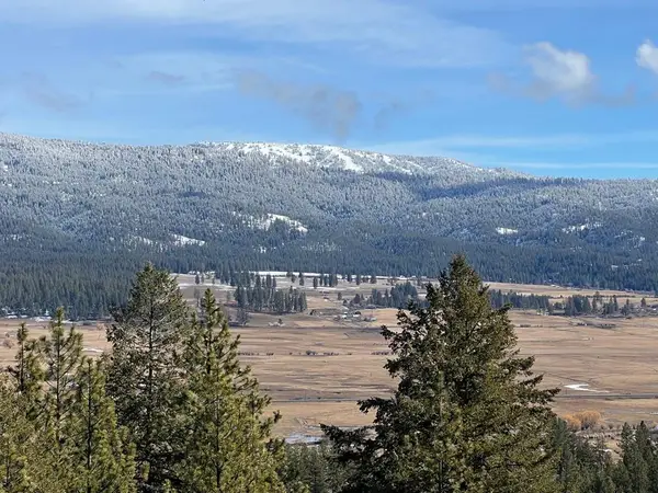 Lot 17 Syringa Drive, New Meadows, ID 83654