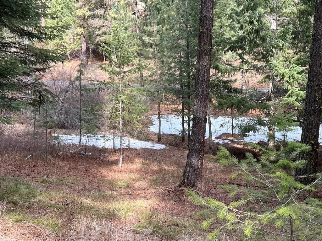 B14 L2 Yampa Court, New Meadows, ID 83654 - #1