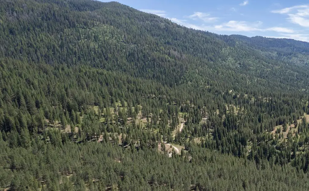 TBD 16 Clear Creek Road, Cascade, ID 83611 - #1