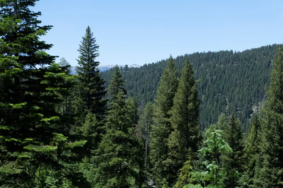 TBD 16 Clear Creek Road, Cascade, ID 83611 - #2