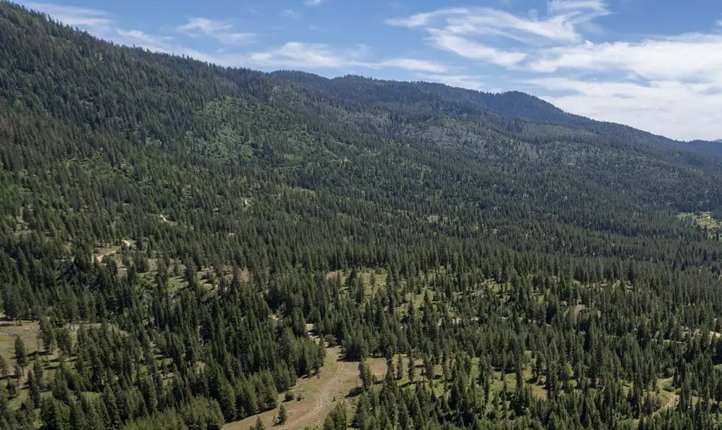 TBD 23 Clear Creek Road, Cascade, ID 83611 - #1