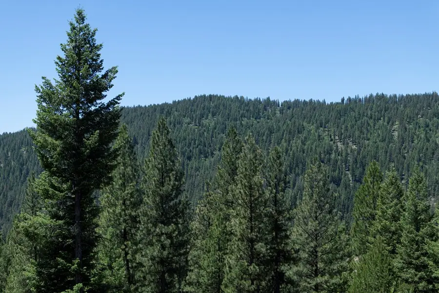 TBD 23 Clear Creek Road, Cascade, ID 83611 - #3