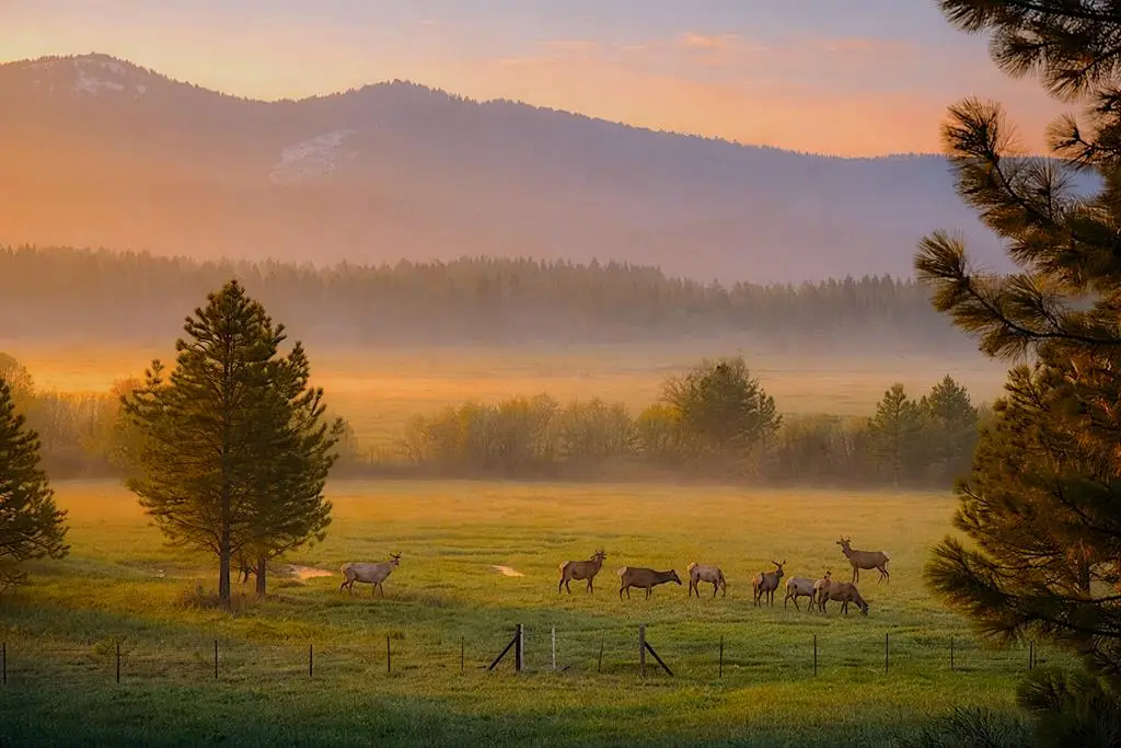1217 Elo Road, McCall, ID 83638 - #1