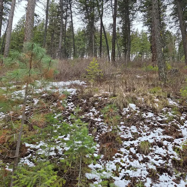TBD Granite View Drive, New Meadows, ID 83654