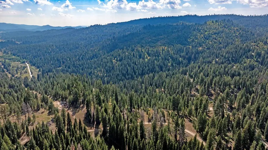 TBD 2 High Valley Road, Cascade, ID 83611 - #2