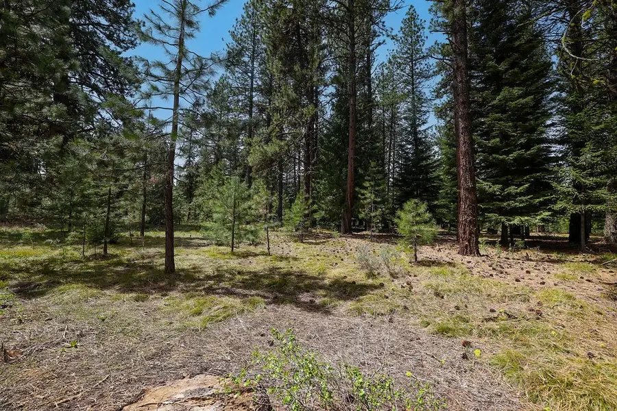 Lot 20 Blackhawk Lake Drive, McCall, ID 83638 - #3