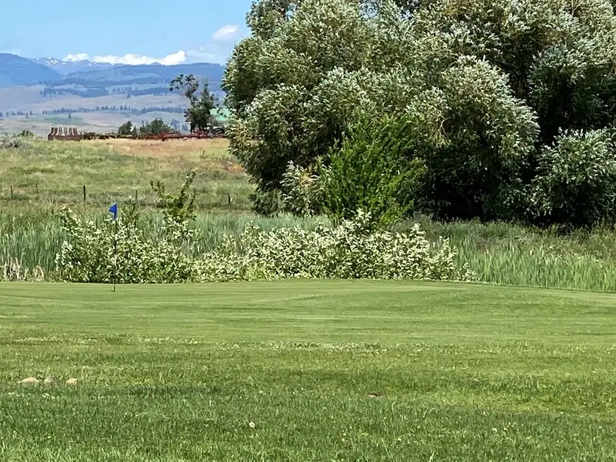 TBD Fairway Drive, Council, ID 83612 - #2