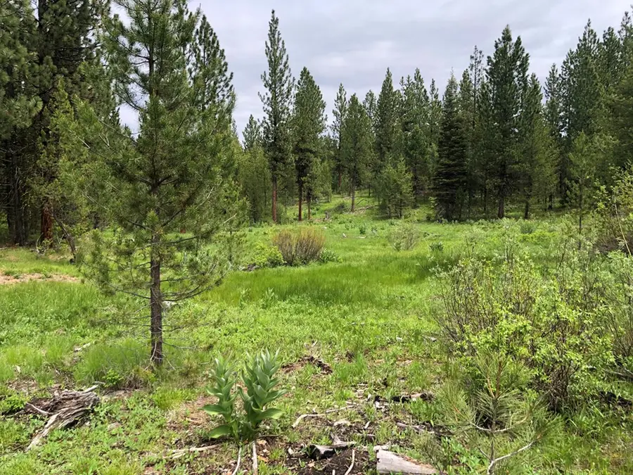 Lot 18 Silver Cloud Drive, Cascade, ID 83611 - #2