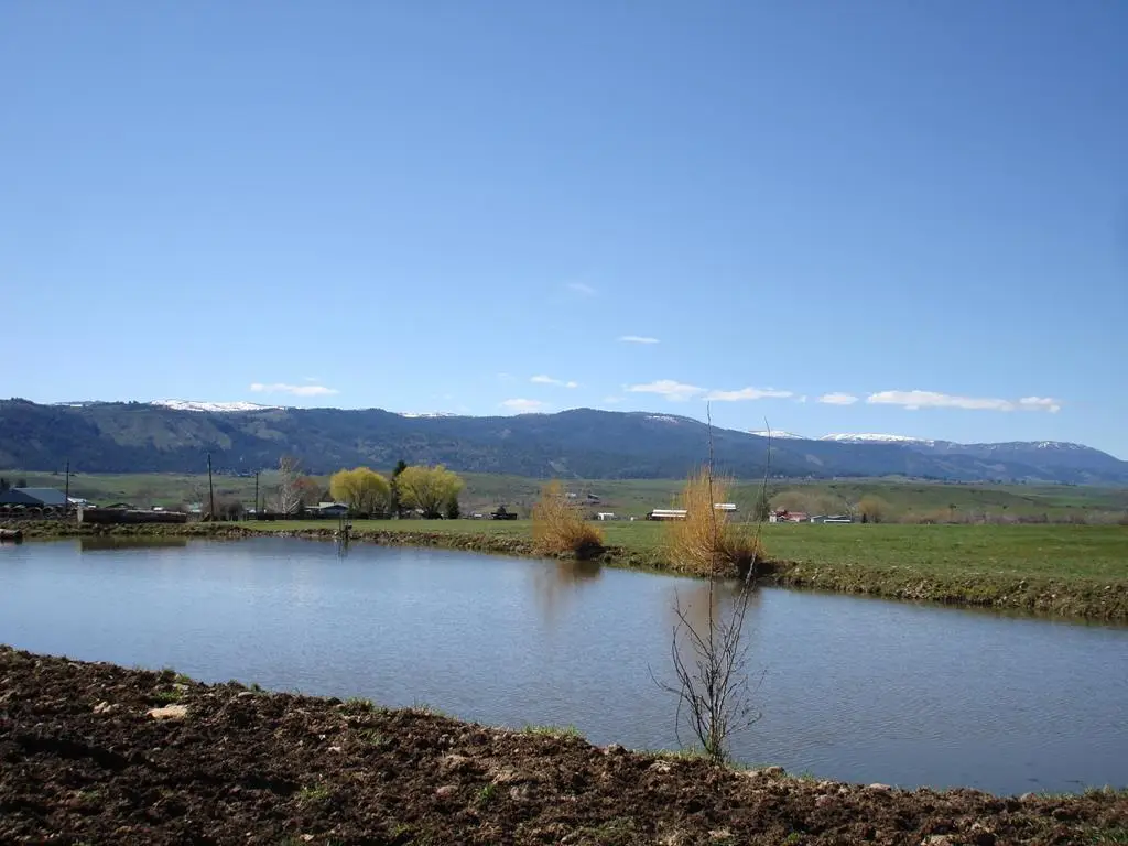 TBD Orchard Road, Council, ID 83612 - #1