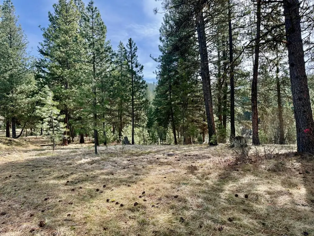 23 Vernon Court, McCall, ID 83683 - #1