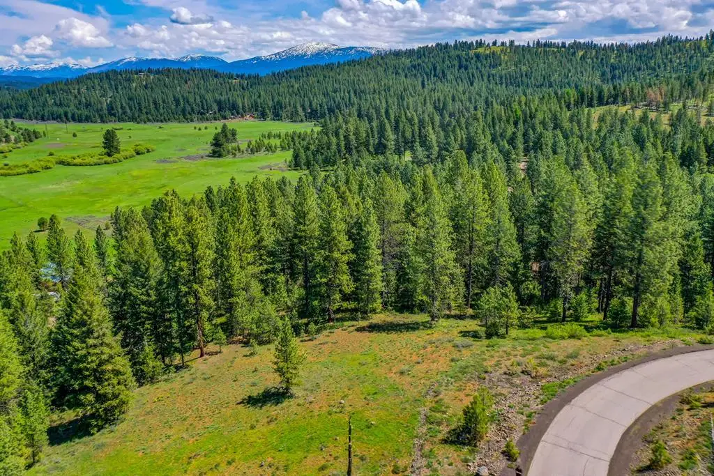 TBD Tamarack View Drive, New Meadows, ID 83654 - #1