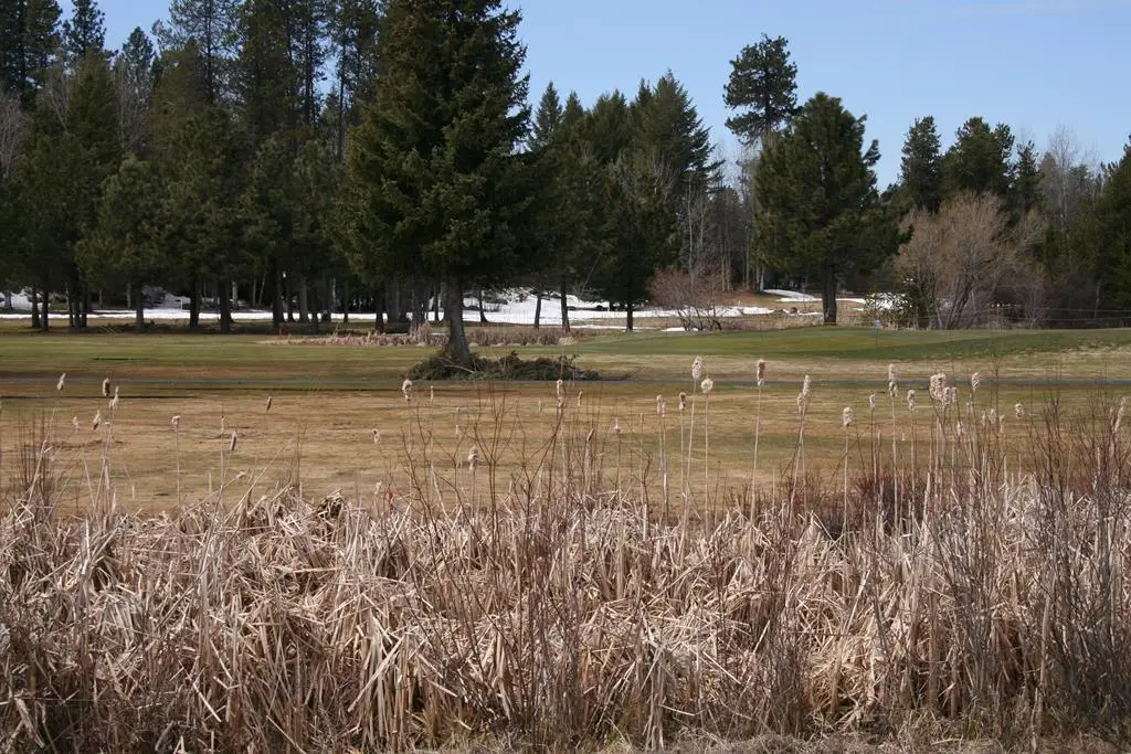 144 Brundage View Court, McCall, ID 83638 - #1