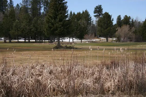 144 Brundage View Court, McCall, ID 83638