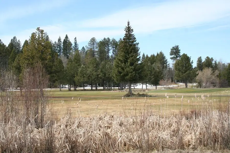 144 Brundage View Court, McCall, ID 83638 - #3