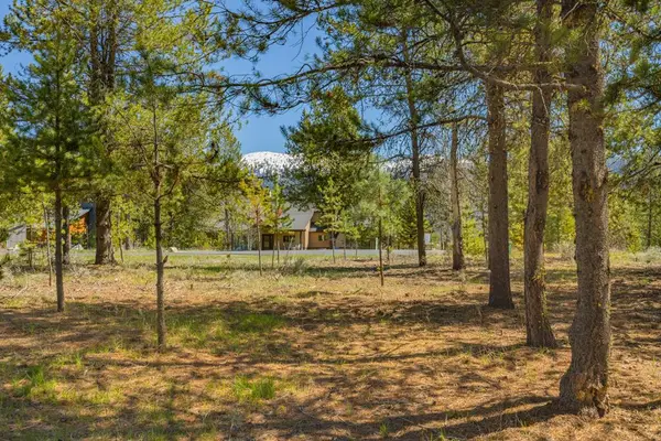 435 Wilhelm Creek Court, McCall, ID 83638