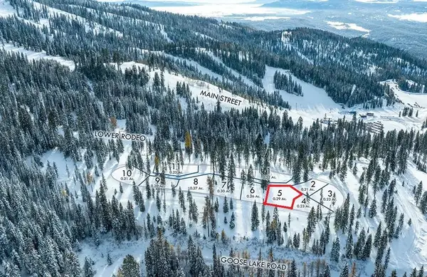 TBD North Loop Road #5, McCall, ID 83638