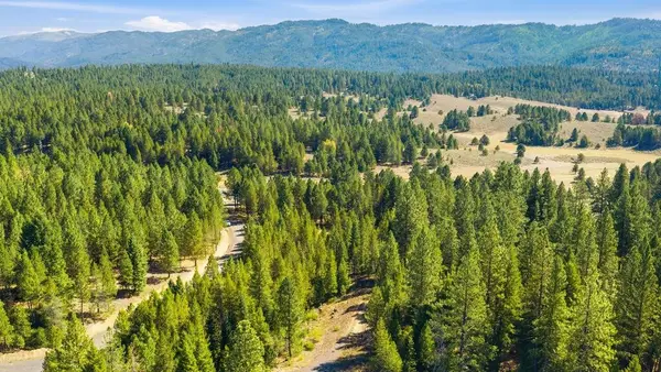 TBD Saddle Rock Drive, Cascade, ID 83611