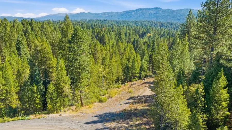 TBD Saddle Rock Drive, Cascade, ID 83611 - #2