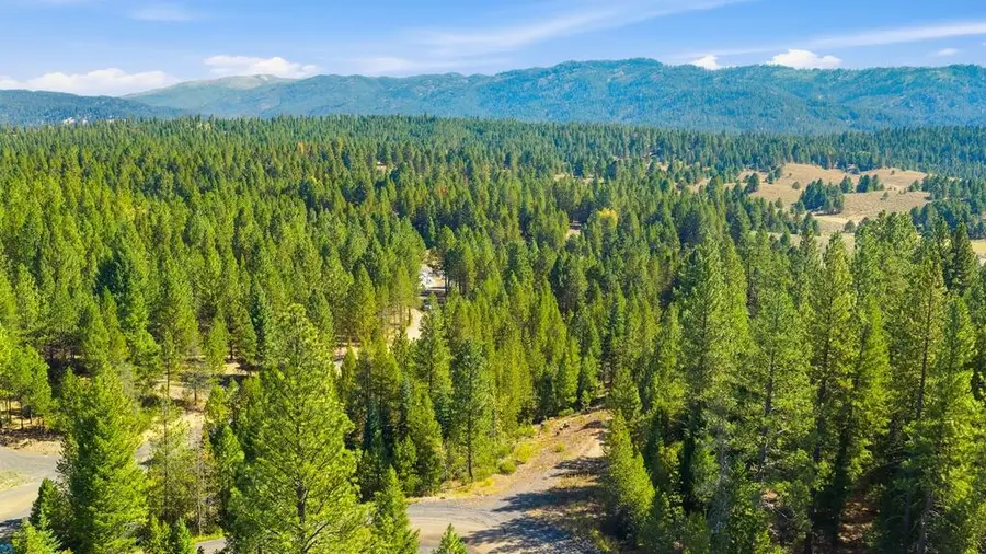 TBD Saddle Rock Drive, Cascade, ID 83611 - #3