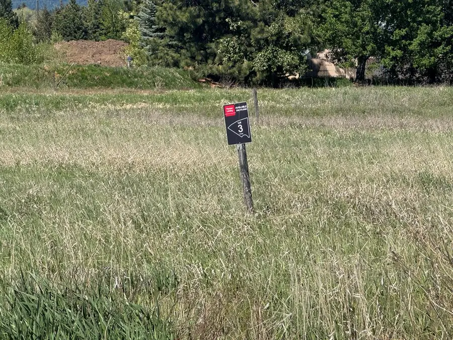 14063 Mulberry Street, McCall, ID 83638 - #2