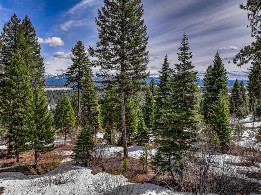 671 Aster Court, McCall, ID 83638 - #3