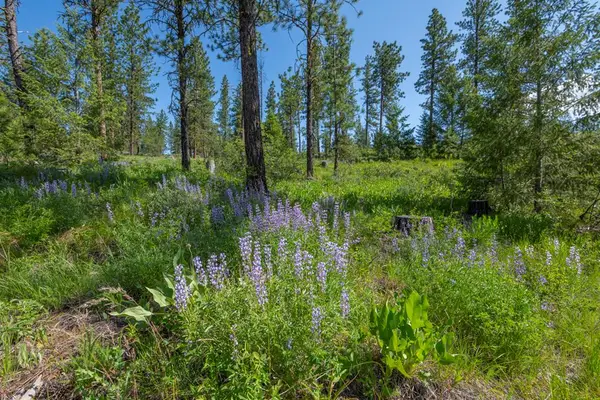 TBD 1 Hwy 95, New Meadows, ID 83654