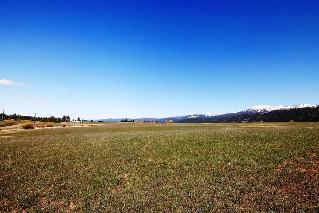 76 Willey Lane, McCall, ID 83638 - #1