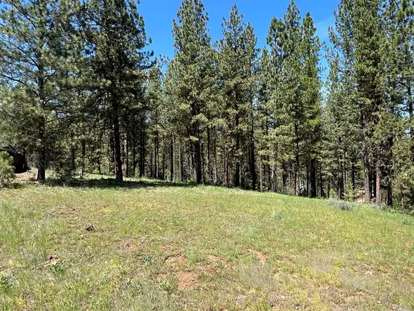 B6 Lot 9 Camas Drive, New Meadows, ID 83654