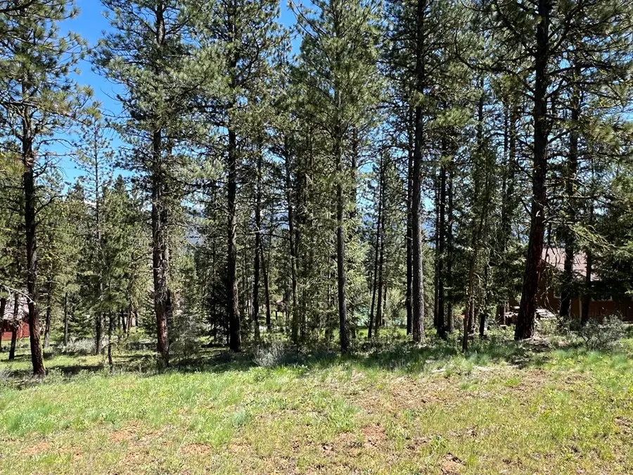 B6 Lot 9 Camas Drive, New Meadows, ID 83654 - #2