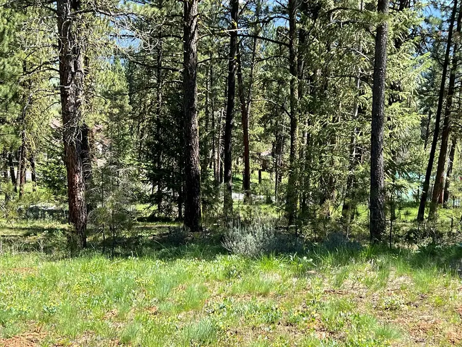B6 Lot 9 Camas Drive, New Meadows, ID 83654 - #3