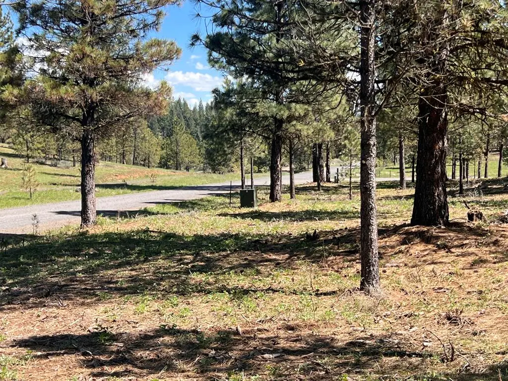 Lot 44 Old Hwy 95, New Meadows, ID 83654 - #1