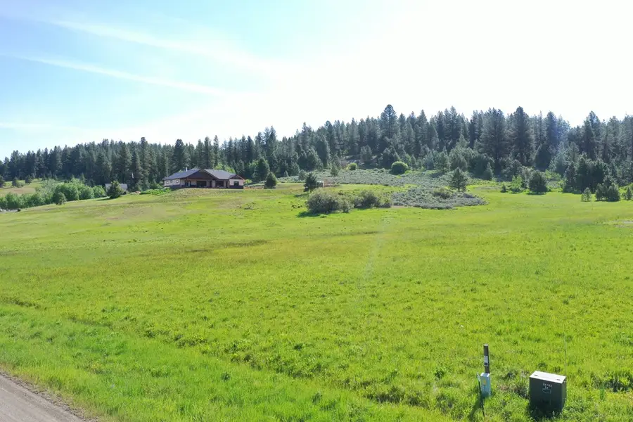 46 Chisum Drive, Donnelly, ID 83615 - #3