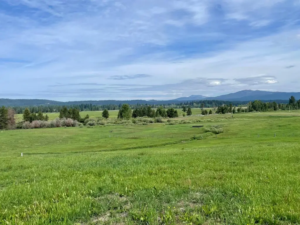 6 Little Moose Court, McCall, ID 83638 - #1