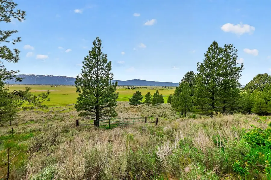 TBD Finlandia Road, Donnelly, ID 83638 - #3