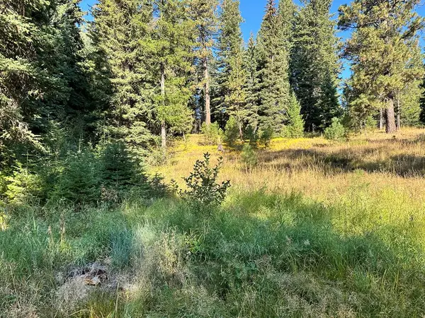 2195 Davy Road, Donnelly, ID 83615