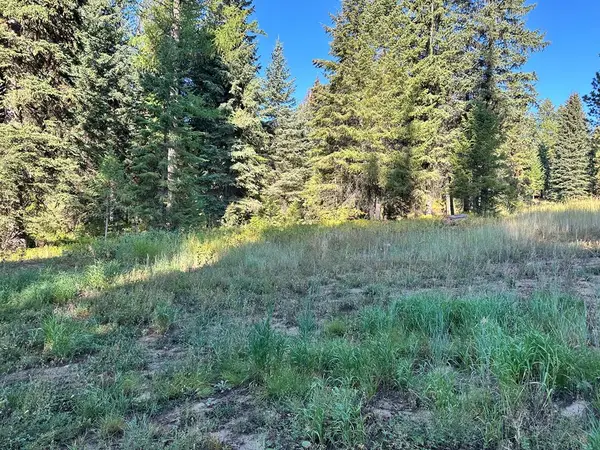 17 Andy Lane, Donnelly, ID 83615