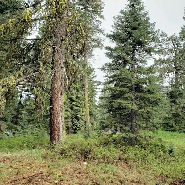 20 Andy Lane, Donnelly, ID 83615