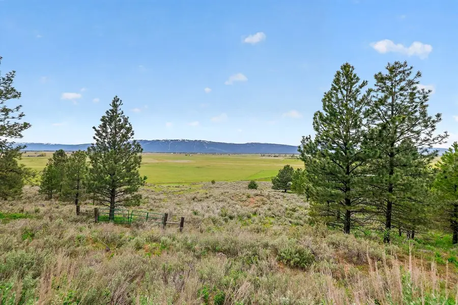 13301 Finlandia Road, McCall, ID 83611 - #2