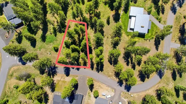 11 Vernon Court, McCall, ID 83638