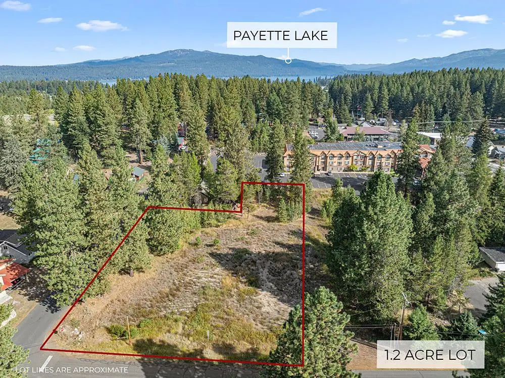 303 Mcbride Street, McCall, ID 83638 - #1