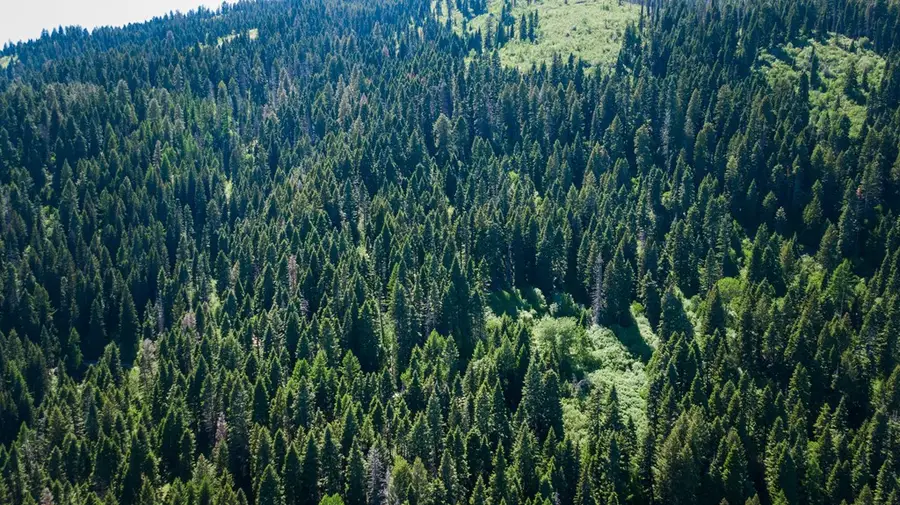 TBD Burnt Wagon Court, Cascade, ID 83611 - #3