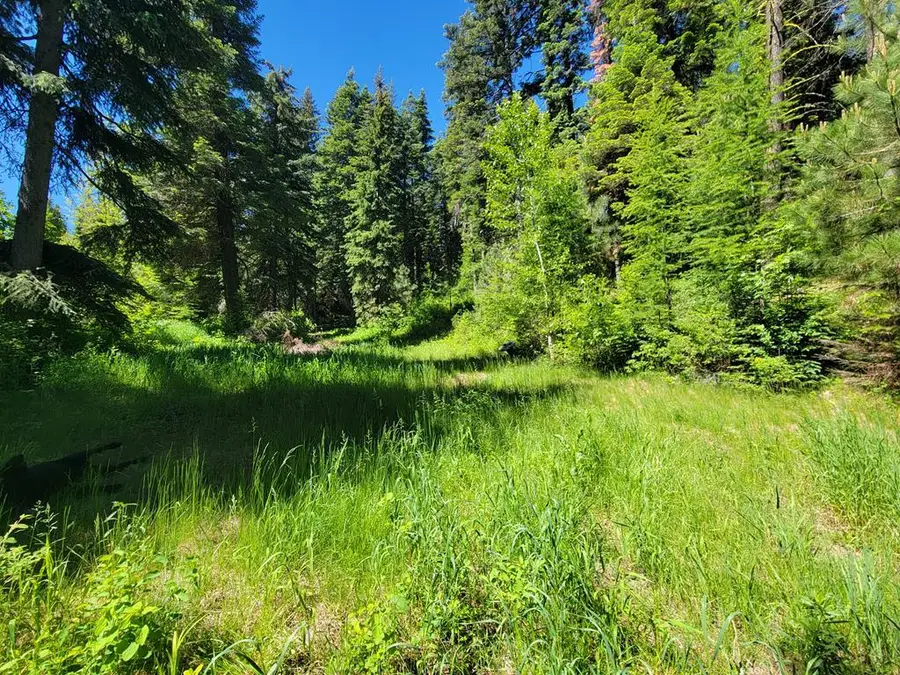 671 West Mountain Road, Cascade, ID 83611 - #2