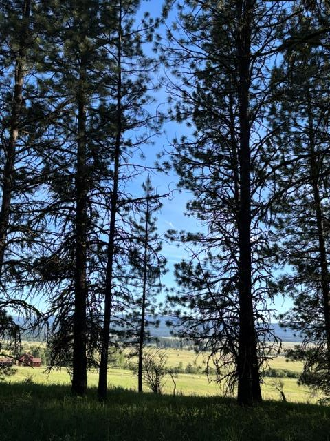 TBD Canyon Creek Way, New Meadows, ID 83654 - #2
